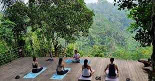 “Yoga di Tengah Hutan Jadi Tren Baru di Ubud, Pelancong Asing Serbu Kelas ‘Jungle Serenity’”